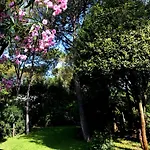 Punta Molino & Thermal 5*