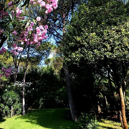 Punta Molino & Thermal 5*