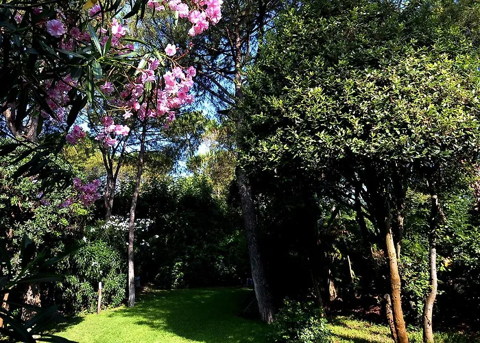 Punta Molino & Thermal 5*